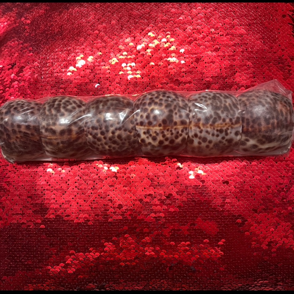 Set of 6 Shell Napkin Rings Genuine Tiger Cowrie Coastal Beach